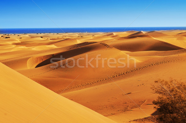 Foto stock: Naturales · reserva · España · vista · canarias