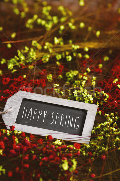 flowers and black label with the text happy spring Stock photo © nito