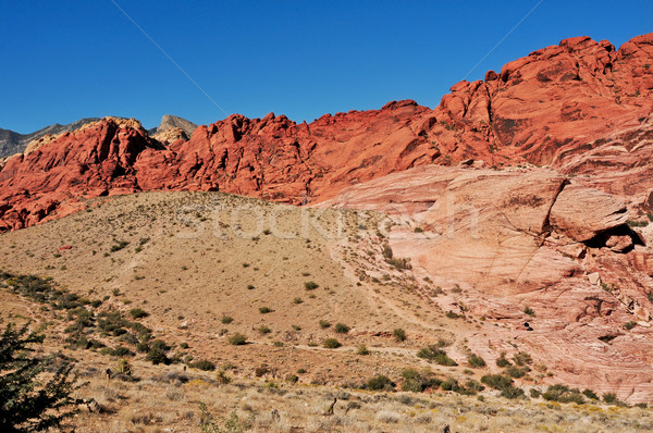 Vermelho rocha desfiladeiro conservação Nevada arenito Foto stock © nito
