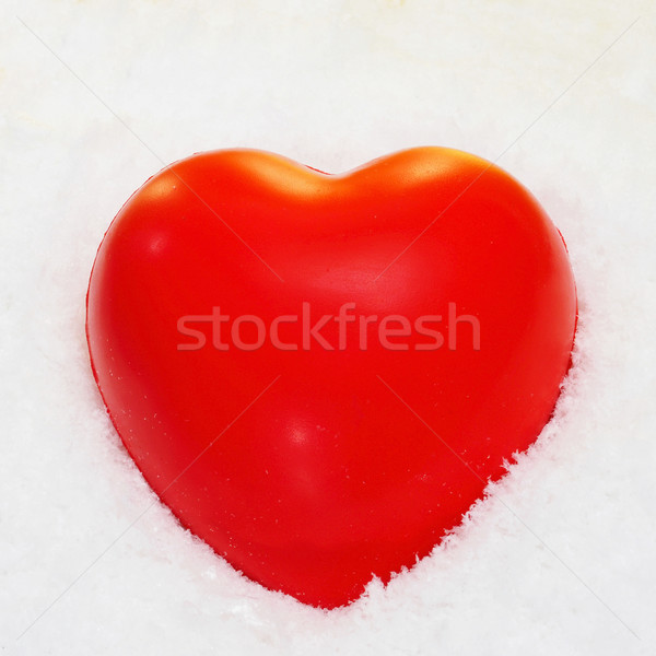 Coração vermelho neve amor vida Foto stock © nito