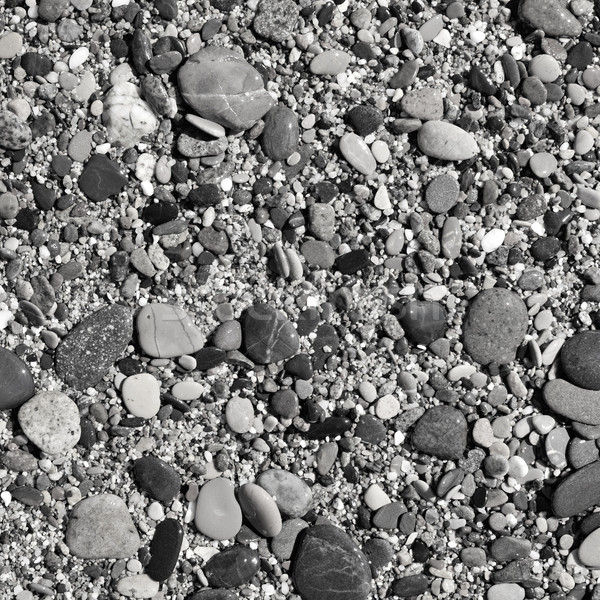 shingle beach in black-and-white Stock photo © nito