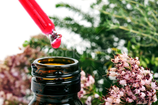 Stock photo: dropper with flower essence and a plant of rosemary