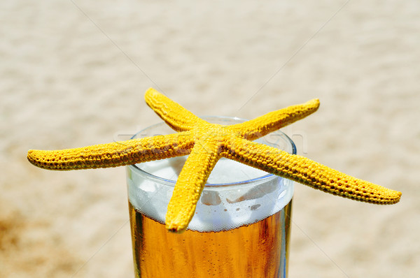Zeester bier strand Geel Stockfoto © nito