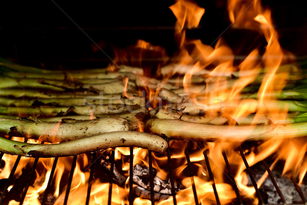 barbecuing calcots, sweet onions typical of Catalonia, Spain Stock photo © nito