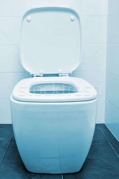 flush toilet Stock photo © nito