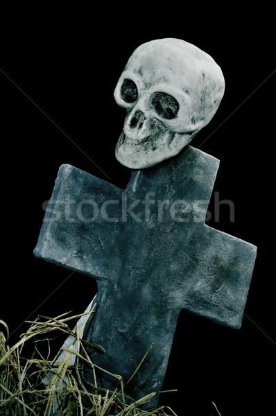 Halloween skull and grave Stock photo © nito