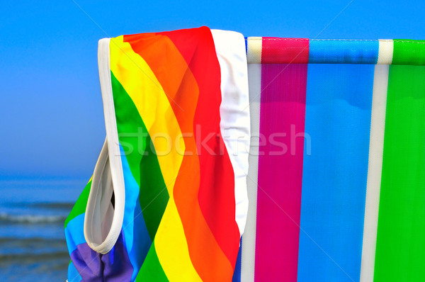 Foto stock: Gay · playa · traje · de · baño · arco · iris · bandera · cubierta