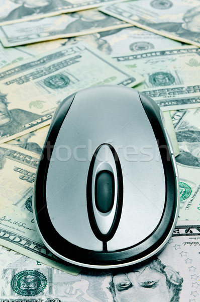 Ekereskedelem számítógép egér tele dollár bankjegyek internet Stock fotó © nito
