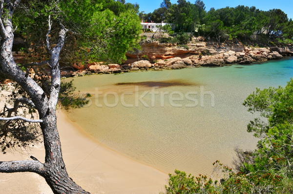 Cala Calafato beach in Ametlla de Mar, Spain Stock photo © nito