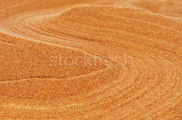 Sabbia primo piano sole natura sfondo deserto Foto d'archivio © nito