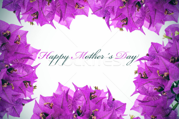 母親節快樂 書面 紫色 花卉 舞會 背景 商業照片 © nito