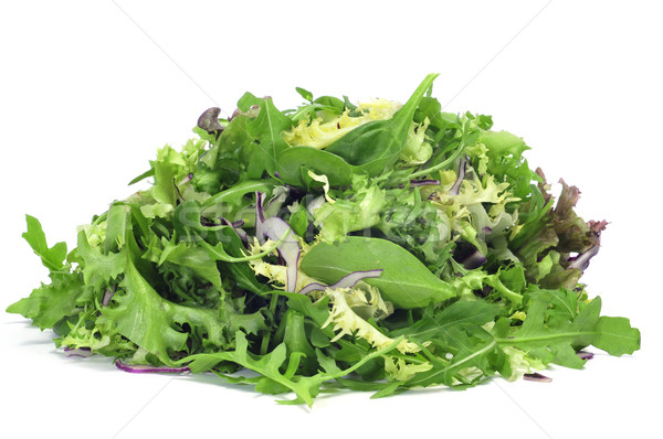 lettuce mix Stock photo © nito