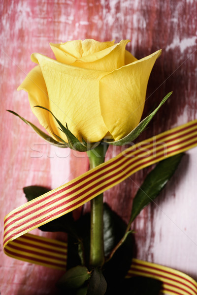 yellow rose and catalan flag Stock photo © nito