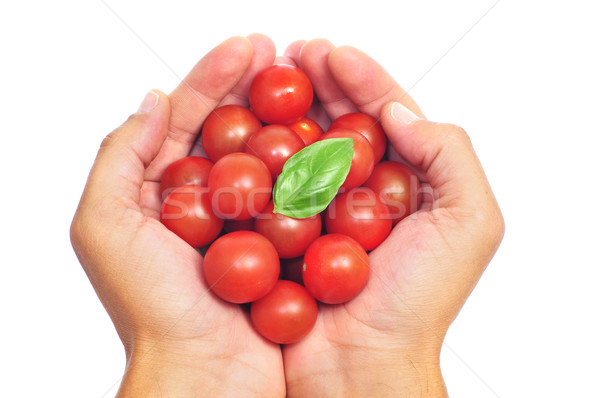 cherry tomatoes Stock photo © nito