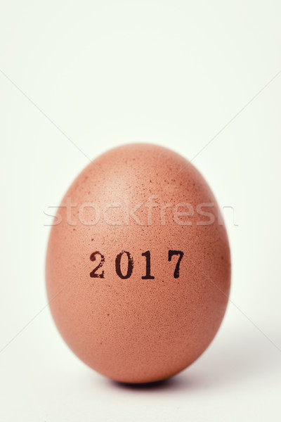 egg with the number 2017, as the new year Stock photo © nito