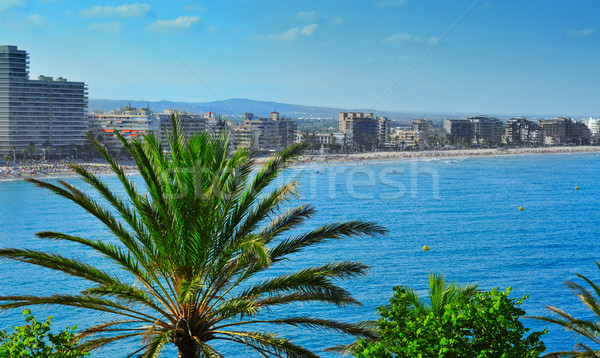 North Beach in Peniscola, Spain Stock photo © nito