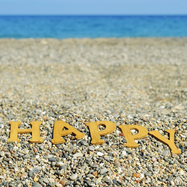 happy on the beach, with a filter effect Stock photo © nito