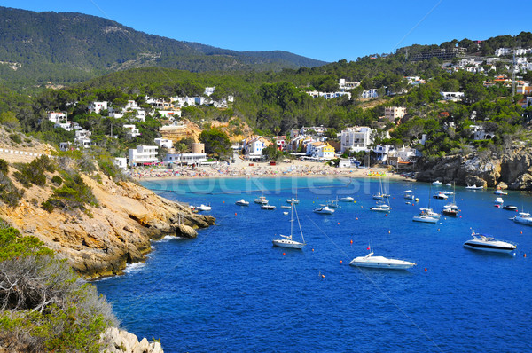 Cala Vedella beach in Sant Josep de Sa Talaia, in Ibiza Island,  Stock photo © nito