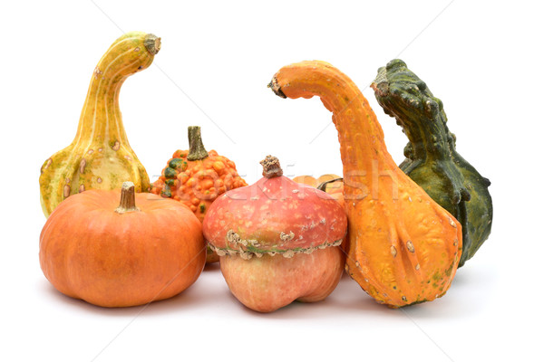 different pumpkins on a white background Stock photo © nito