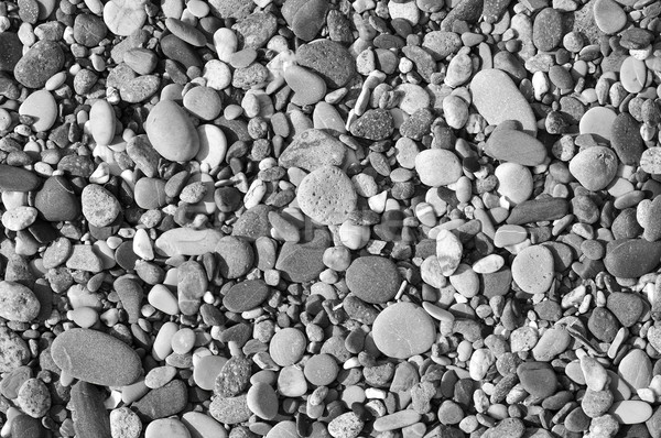 pebbles background Stock photo © nito
