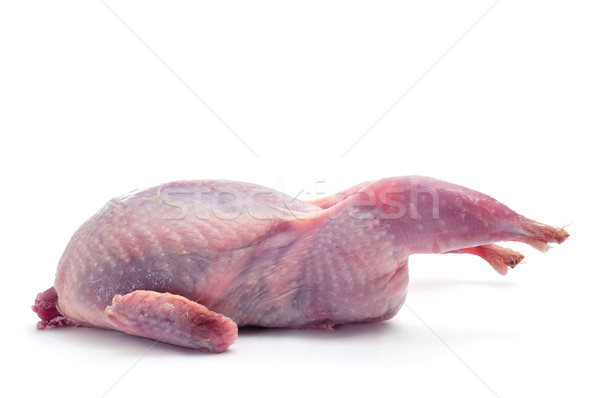 plucked quail Stock photo © nito