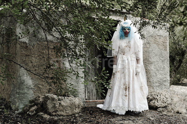 scary evil clown in a bride dress Stock photo © nito