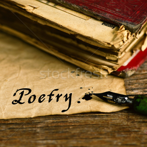 Szöveg költészet írott mártás toll közelkép Stock fotó © nito