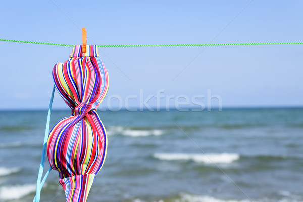 Bikini akasztás ruházat vonal közelkép színes Stock fotó © nito