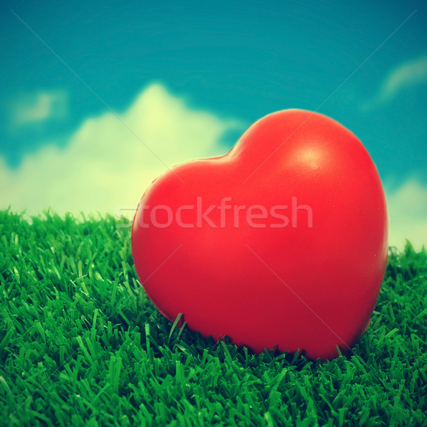 heart on the grass Stock photo © nito