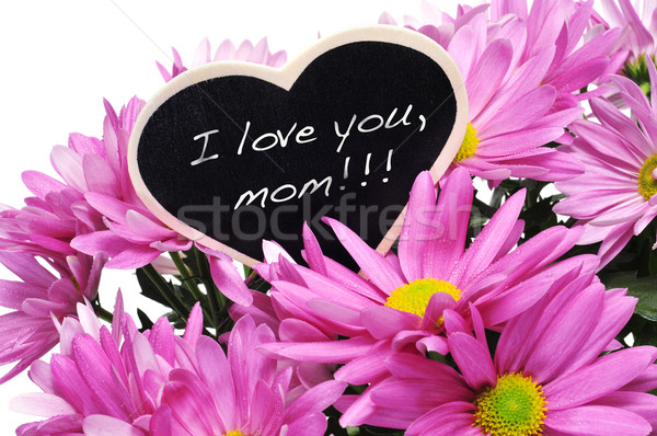 I love you, mom Stock photo © nito