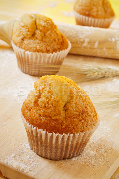 magdalenas, typical spanish plain muffins Stock photo © nito