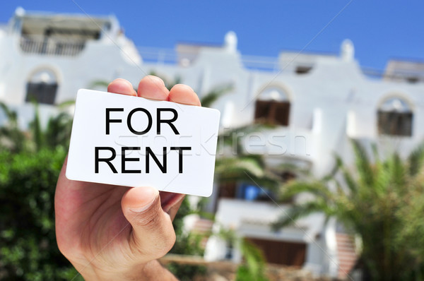man holding a signboard with the text for rent Stock photo © nito