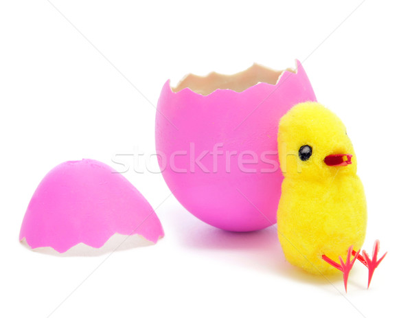 teddy chick and hatched pink easter egg  Stock photo © nito