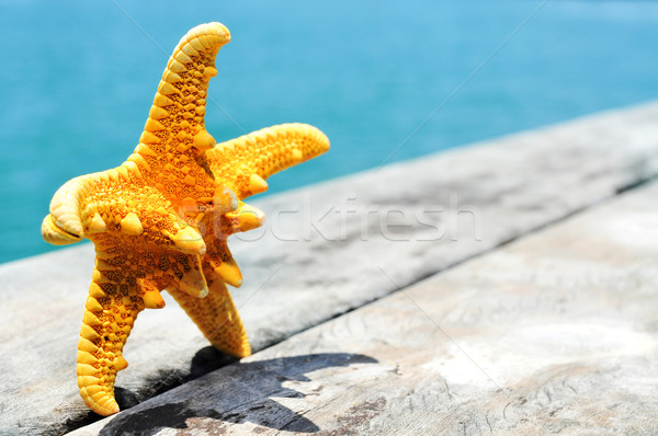 starfish on an old wooden pier on the sea Stock photo © nito