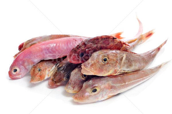raw fishes Stock photo © nito