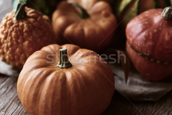 different pumpkins Stock photo © nito
