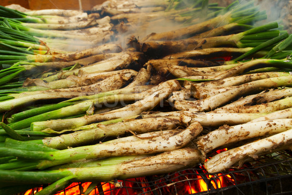 calcots, catalan sweet onions Stock photo © nito