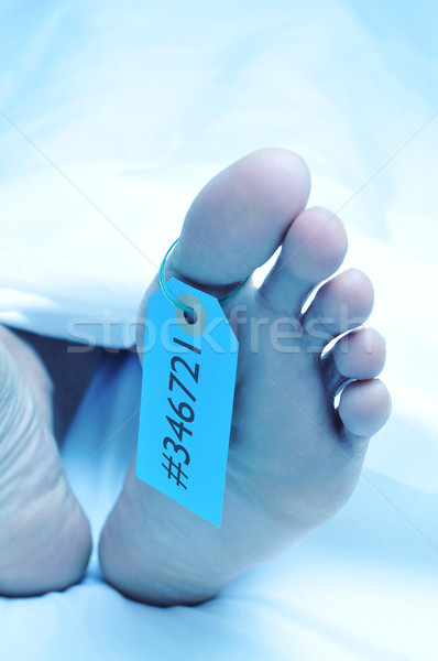 Cadáver dedo del pie etiqueta primer plano pies cubierto Foto stock © nito