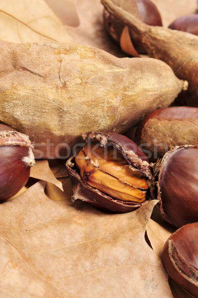 roasted chestnuts and sweet potatoes, typical snack in All Saint Stock photo © nito