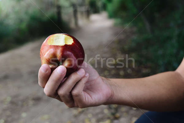 young man eating a red apple outdoors Stock photo © nito