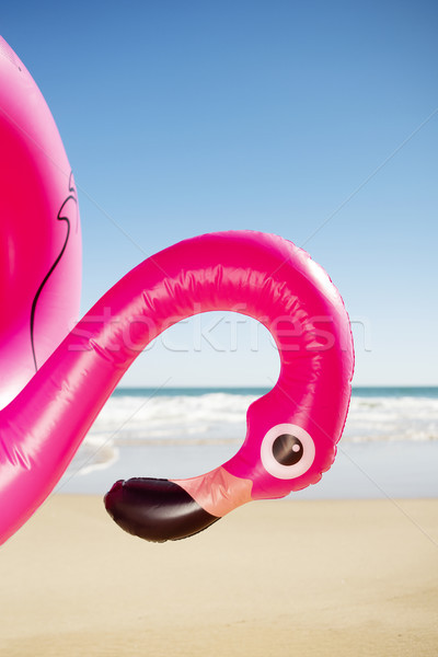 pink flamingo swim ring on the beach Stock photo © nito