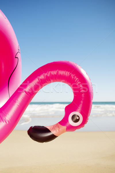 Rosa Flamingo schwimmen Ring Strand Stock foto © nito