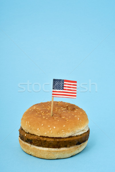 Bandeira Estados Unidos pequeno hambúrguer azul Foto stock © nito