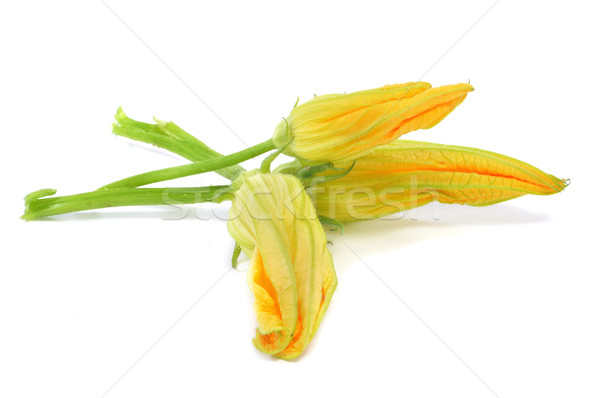 Cukkini virágok fehér étel háttér zöld Stock fotó © nito