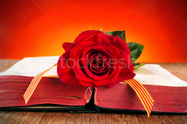 Stock fotó: Könyv · piros · rózsa · zászló · szent · régi · könyv · nap