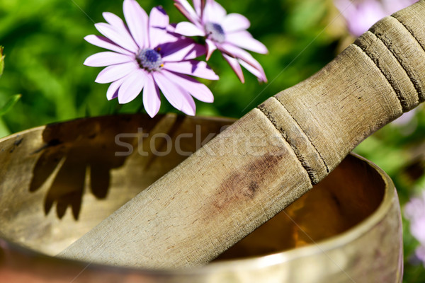 Cantando tazón primer plano rosa flores silvestres música Foto stock © nito