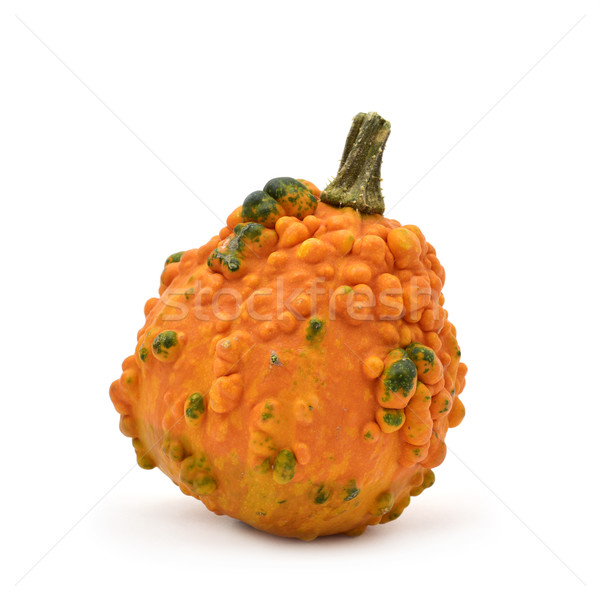 warty pumpkin Stock photo © nito