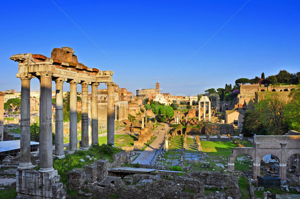 Roman Forum in Rome, Italy Stock photo © nito