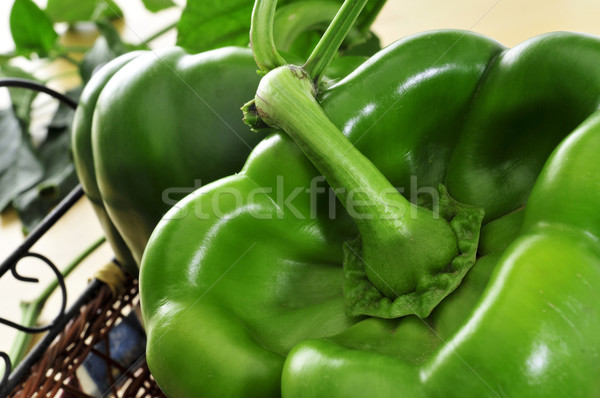 green bell peppers Stock photo © nito