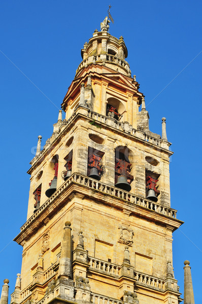 bell tower of  teh Cathedral of Cordoba, Spain Stock photo © nito